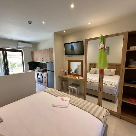 Sea Side & Studios-renovated Tsilivi (Zakynthos)