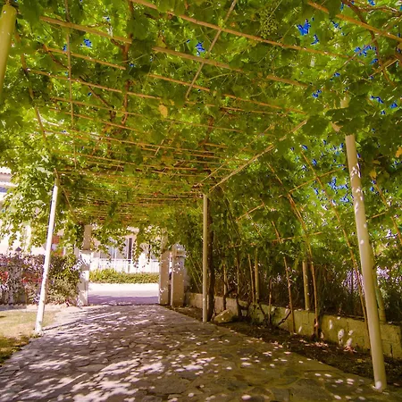 Apartmán Sea Side Tsilivi (Zakynthos)
